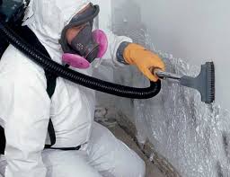 Best Asbestos and Lead Testing During Mold Inspection  in New Hampton, IA